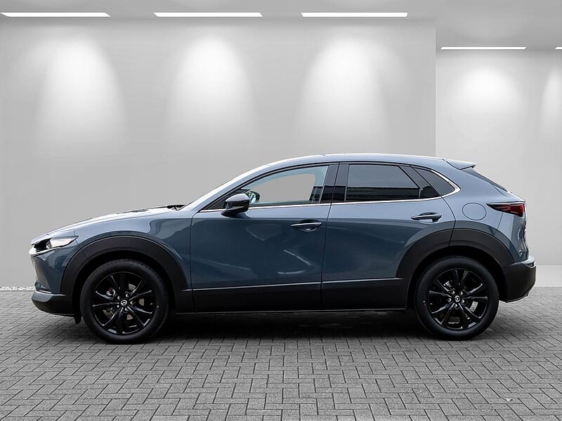 Mazda CX-30 Aut. Homura Navi+HUD+ACC+Kamera+eHeckkl+SHZ+Privacy+PDC+LogIn+LED