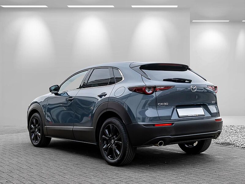 Mazda CX-30 Aut. Homura Navi+HUD+ACC+Kamera+eHeckkl+SHZ+Privacy+PDC+LogIn+LED