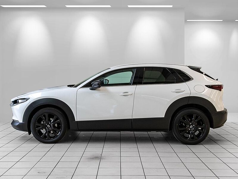 Mazda CX-30 Aut. Homura Navi+HUD+ACC+Kamera+eHeckkl+SHZ+Privacy+PDC+LogIn+LED